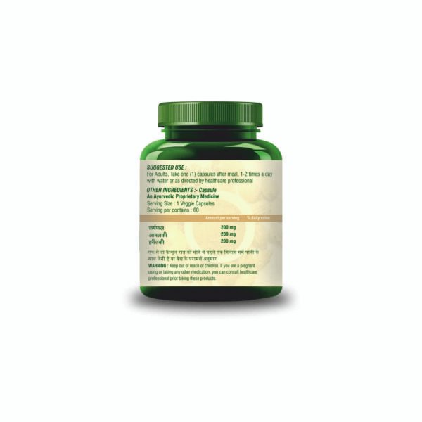 Kosth Shuddhi Capsule - Image 3