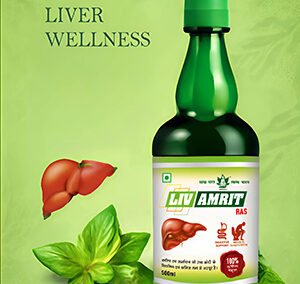 Liv Amrit Ras Thumbnail