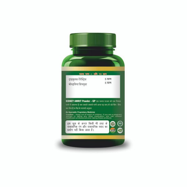 Kidney Amrit GP Powder