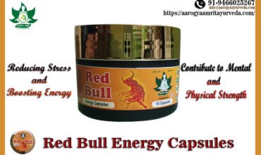 red bull front slider 2