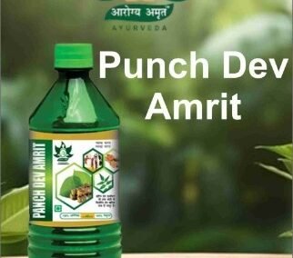 PunchDevAmrit