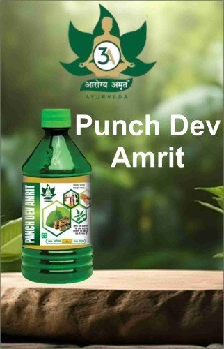 PunchDevAmrit PunchDevAmrit