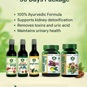 30-Day Kidney DS Health Kit – Ayurvedic Medicine for Kidney Health by Aarogya Amrit Ayurveda