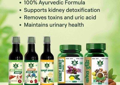 30-Day Kidney DS Health Kit – Ayurvedic Medicine for Kidney Health by Aarogya Amrit Ayurveda