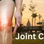 Beeline-Joints-Category-1920-1024x576